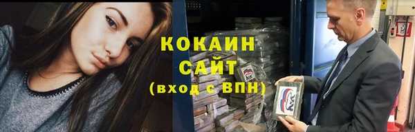 гидра Надым