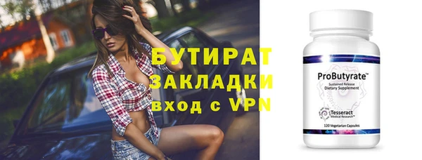гидра Надым
