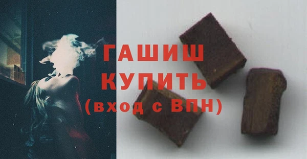гидра Надым