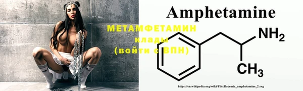 гидра Надым