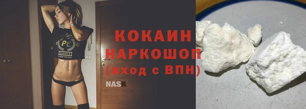 гидра Надым