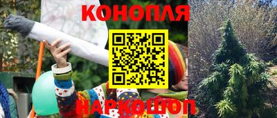 PSILOCYBIN Изобильный