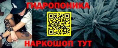гидропоника Ирбит