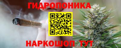 гидропоника Ирбит