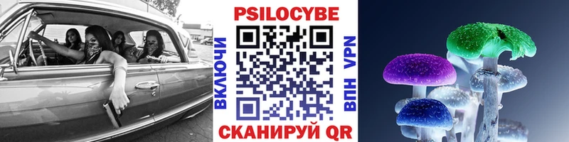 продажа наркотиков  Сочи  Псилоцибиновые грибы Psilocybine cubensis 