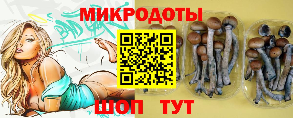 Псилоцибиновые грибы мицелий Сочи