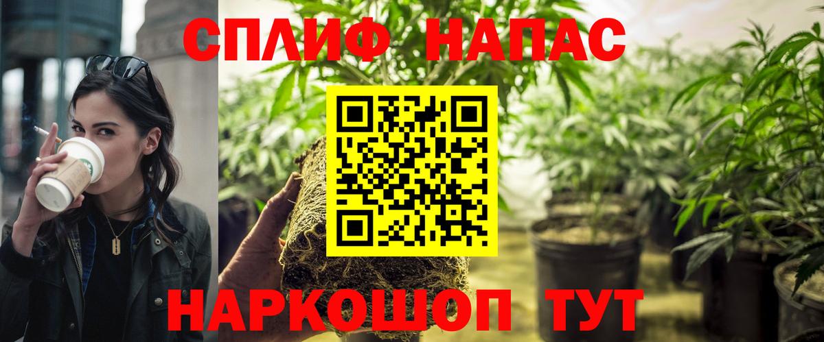 Шишки марихуана сатива Сочи
